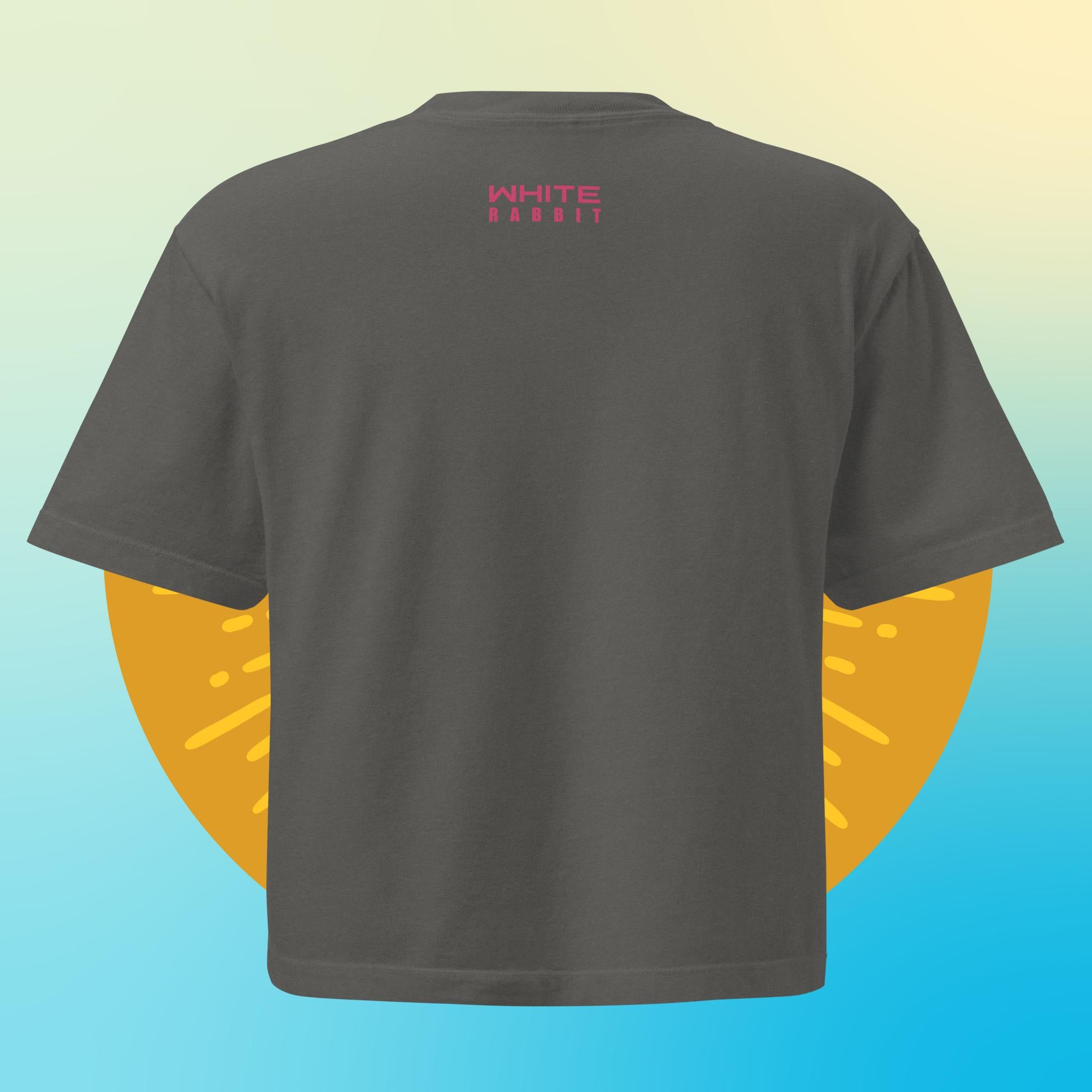 Dont Mind Me Women’s heavyweight boxy tee